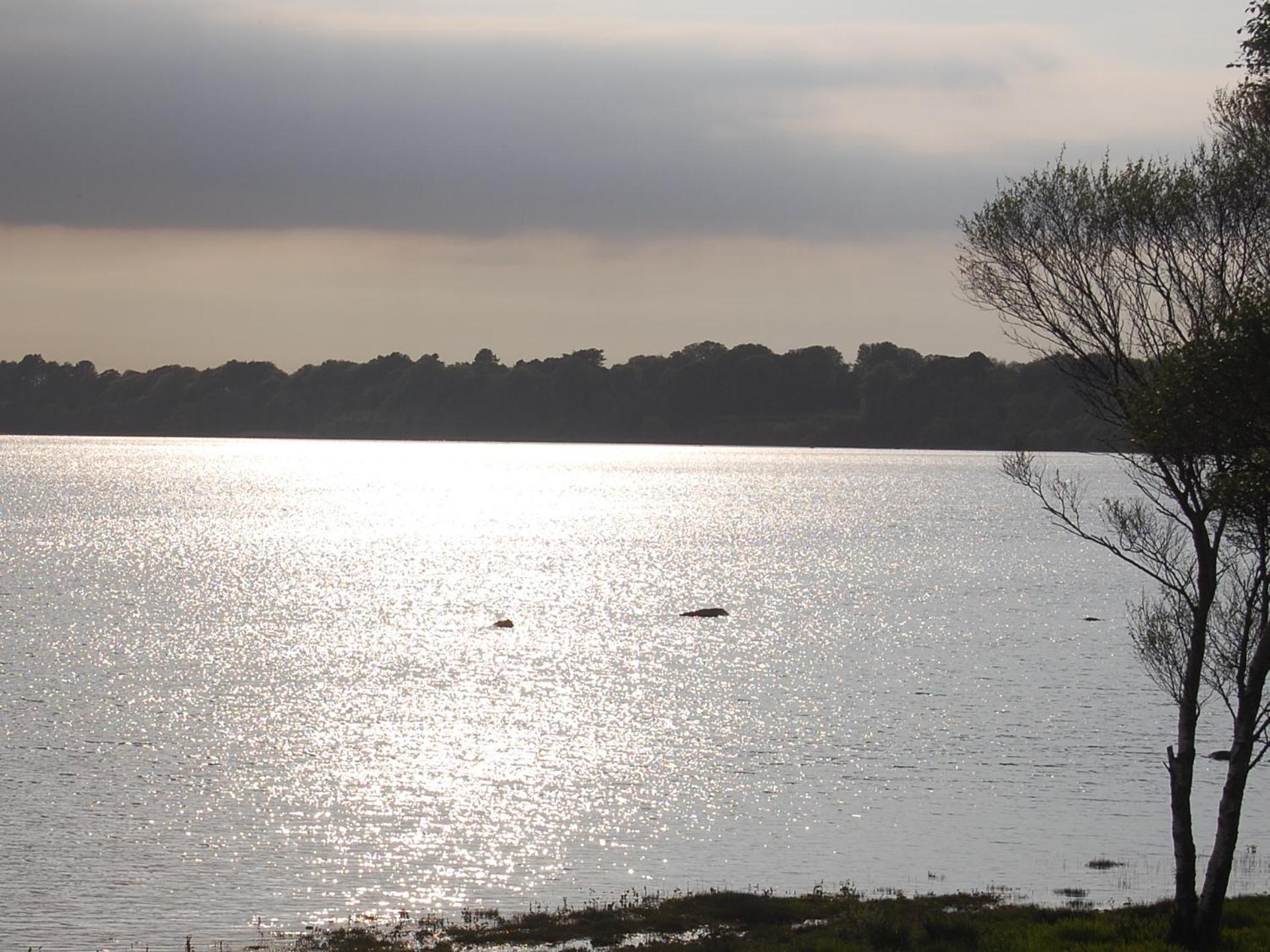 Crystal Springs B&B Killarney Dış mekan fotoğraf